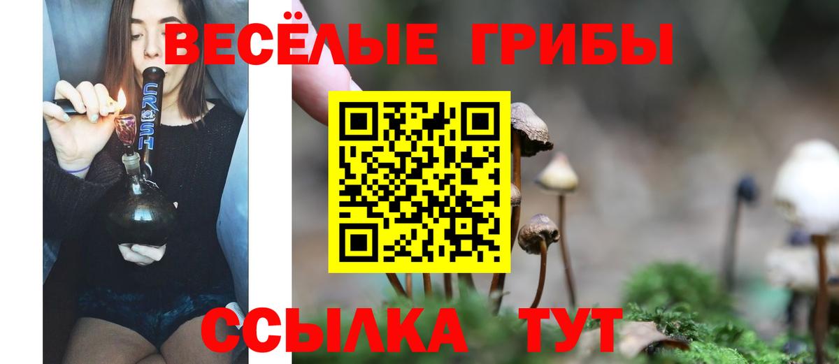 Аша  Галлюциногенные грибы GOLDEN TEACHER  Вход с VPN 